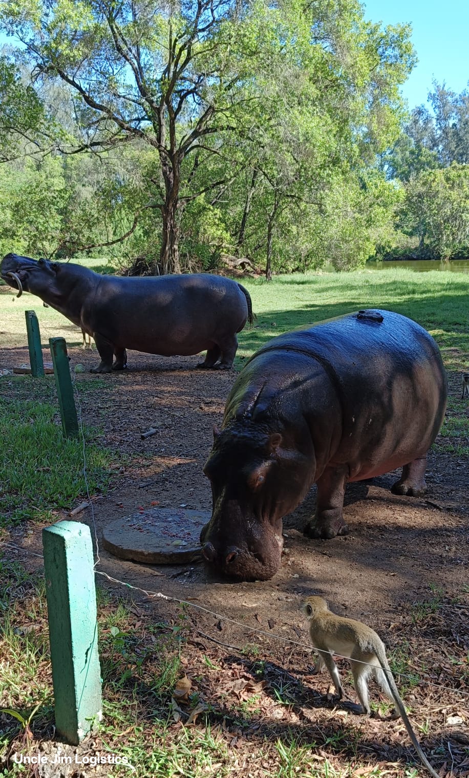 Haller Park tour Uncle Jim Logistics
